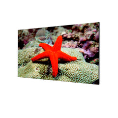 MONITOR 55PULGADAS 4K 24/7 DS-D2055LU-Y HIKVISION