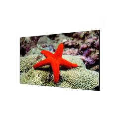 MONITOR LED 46' 4K DS-D2046LU-Y HIKVISION