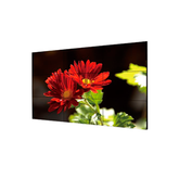 MONITOR 49" 4K DISPLAY DS-D2049LU-Y HIKVISION