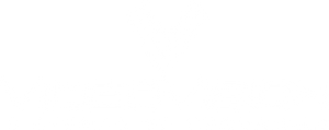 Videovision