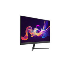 MONITOR IPS 23.8" FULL HD 100HZ DS-D5024F2-BP2 HIKVISION