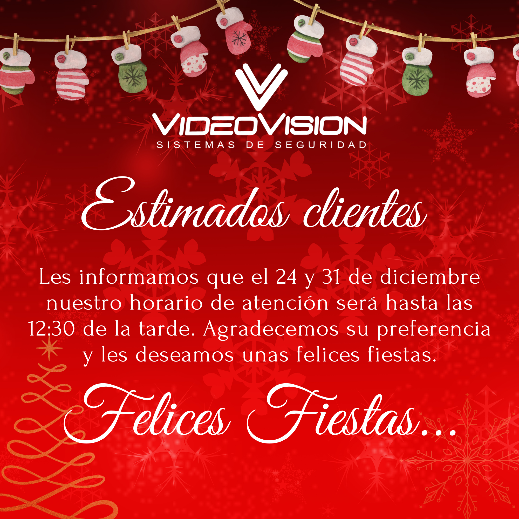 Videovision 